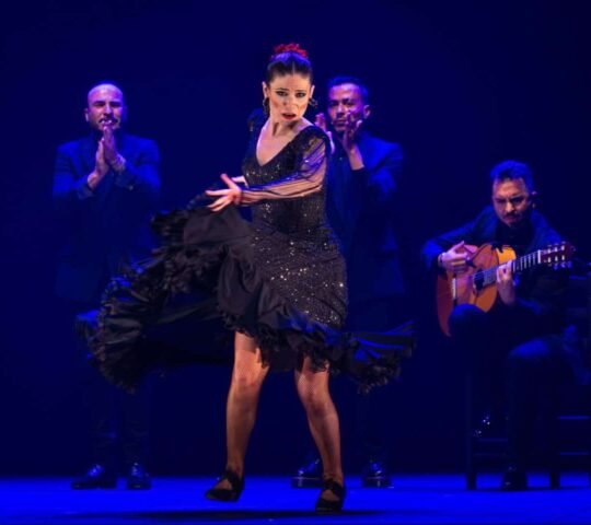 Festival de Jerez de la Frontera, Spain 2027 Festival de Jerez de la Frontera, Spain 2027
