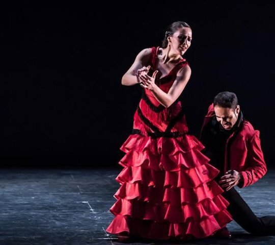 Suma Flamenca 2026 – Madrid, Spain Suma Flamenca 2026 – Madrid, Spain